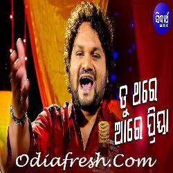 Tu Thare Aa Re Priya - Romantic Song